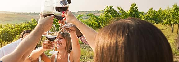 Vinos con la mejor relación calidad precio