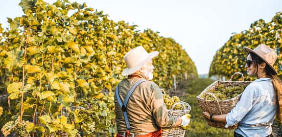 ¿El mejor regalo para papá? ¡Vino!