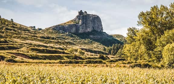 ¡Descubre los mejores vinos de Terra Alta!