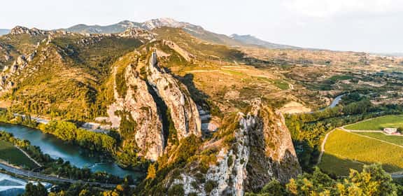¡Explora el mundo del vino natural en TRAVINO!