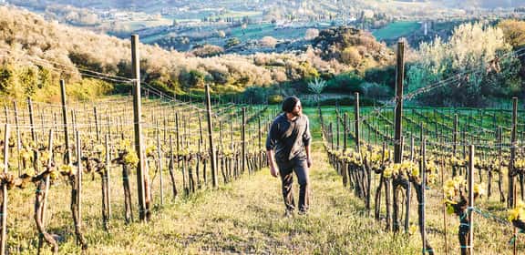 ¡Los mejores vinos rosados en TRAVINO!