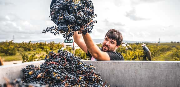¡Pack Descuento 5+1 DO Empordà!
