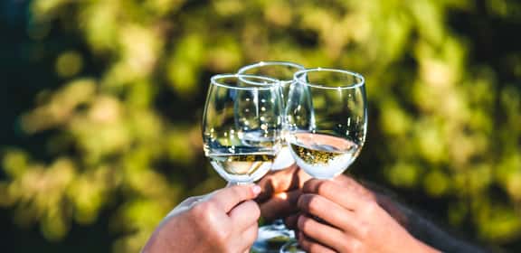 ¡Brinda sin límites con los Vinos sin Alcohol!