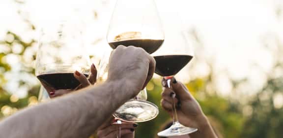 ¡Descubre los mejores Syrah en TRAVINO!