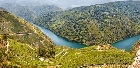 ES_generic_fallback_kit_vineyard ¡Descubre los mejores vinos veganos!