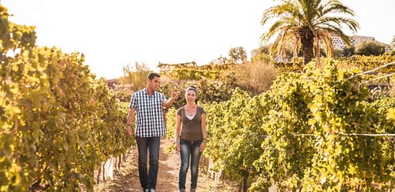 ¡El amor por el vino se celebra todos los días!
