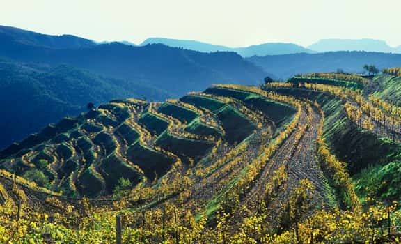 Clos Mogador