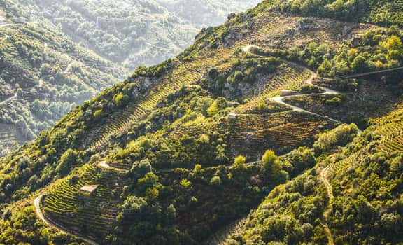 Meritxell Pallejà