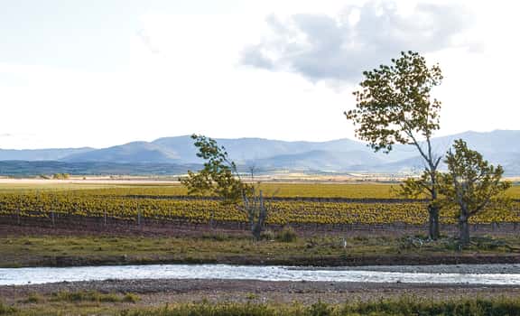 Solar de Urbezo
