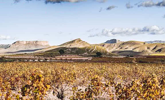Parajes del Valle