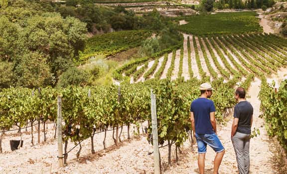 Clos Farena
