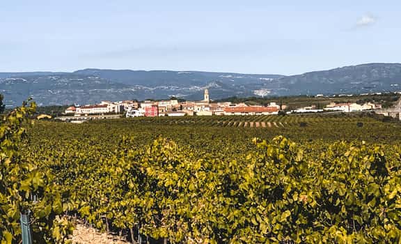 Vinicola de Nulles