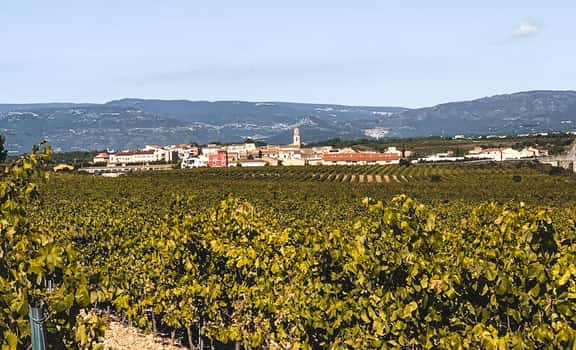 Vinicola de Nulles