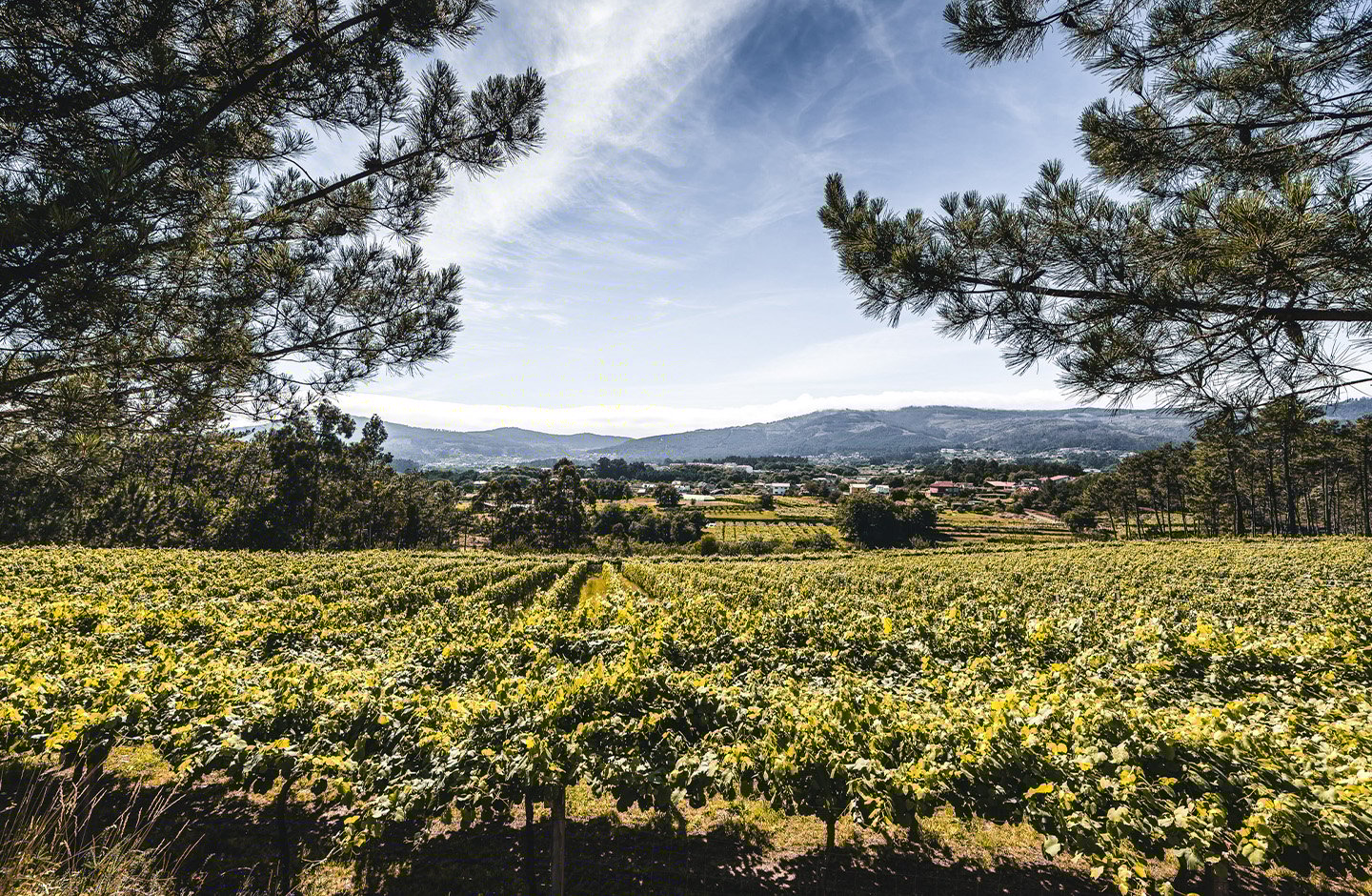 Quinta do Couselo