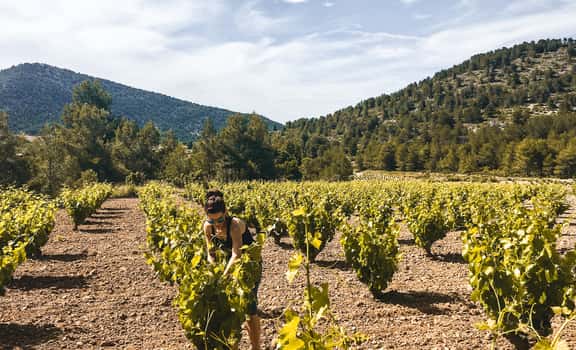 Julia Casado - Ninja de las Uvas