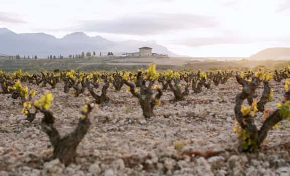 Hacienda López de Haro