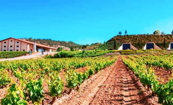 Valduero