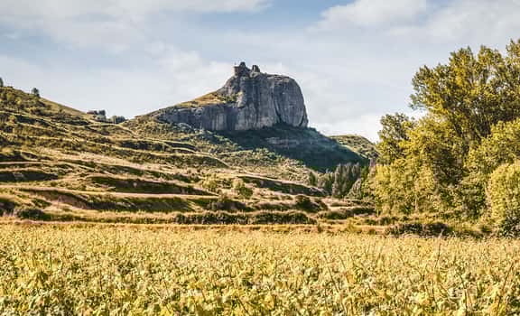 Bodegas Monje