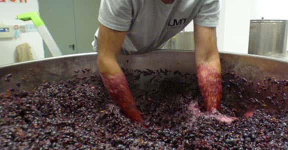 LMT Wines