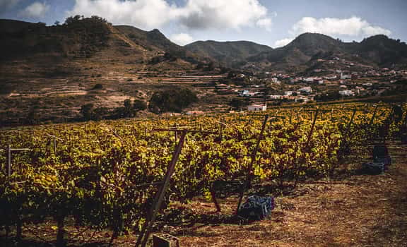 El Lomo