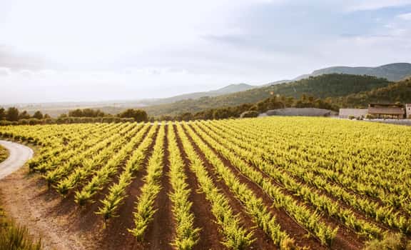 Clos Montblanc