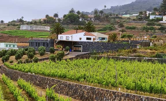Bodegas El Sitio