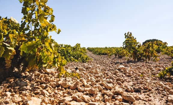 García de Lara