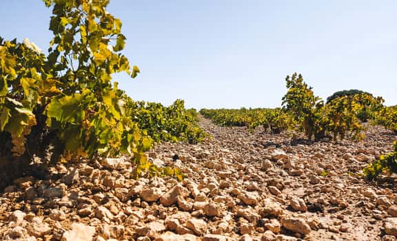García de Lara