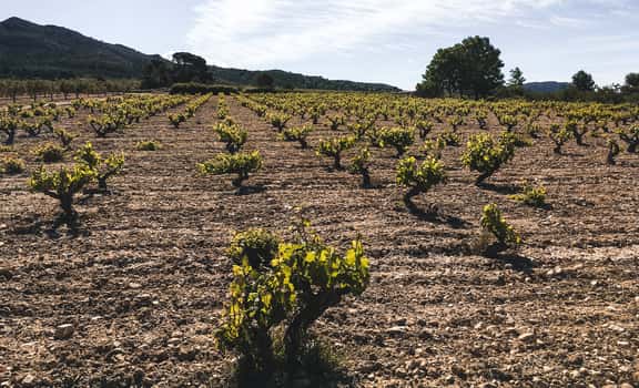 Sierra de Cabreras