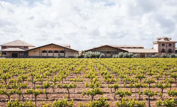 Pago Casa del Blanco