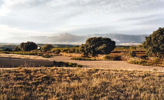 Lanzaga