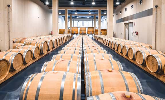 Es Fangar Vins