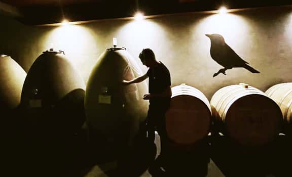 Zorzal Wines
