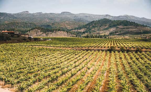 Altos de Trevejos