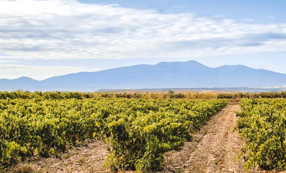Finca La Cantera de Santa Ana