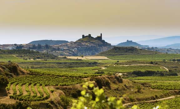 La Carbonera