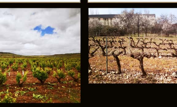 Finca Cienvacas