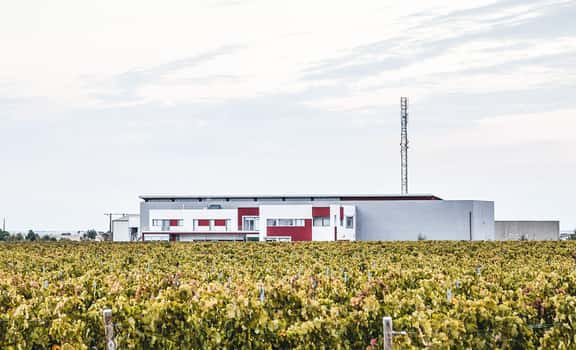 Bodegas Briego