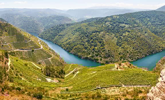 ES_generic_fallback_kit_vineyard Manuel Vázquez Losada