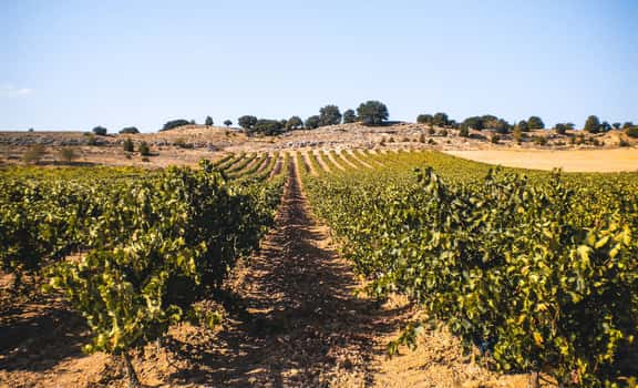 Nuestro de Díaz Bayo