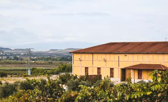 Viñedos y Bodegas Lyng