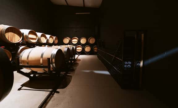 Celler Viníric
