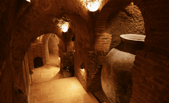 Txinpanzè Vinos