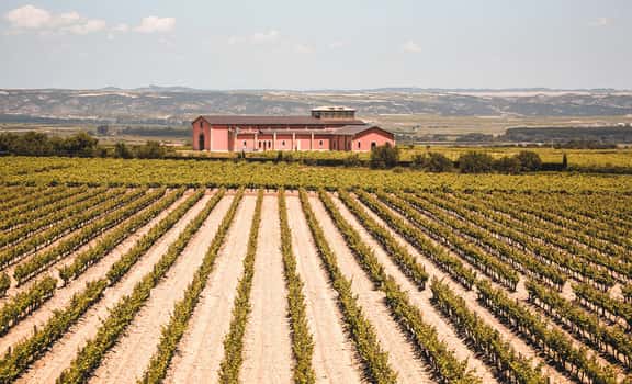 Domeco de Jarauta