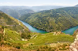 ES_generic_fallback_kit_vineyard ES_generic_fallback_kit_vineyard