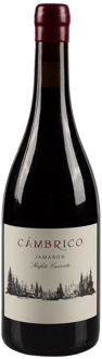 2019 Cámbrico Jamarón Sierra de Salamanca DOP