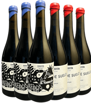 Pack Degustación 6 botellas Bodega Borbotón Pack Degustación 6 botellas Bodega Borbotón
