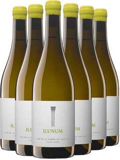 Pack Descuento Ilunum Blanco Castilla VT