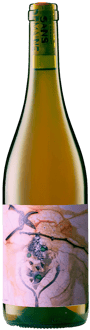 2023 Sans Domaine Procès