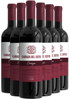 Pack Descuento Cañada del Soto Crianza Almansa DO